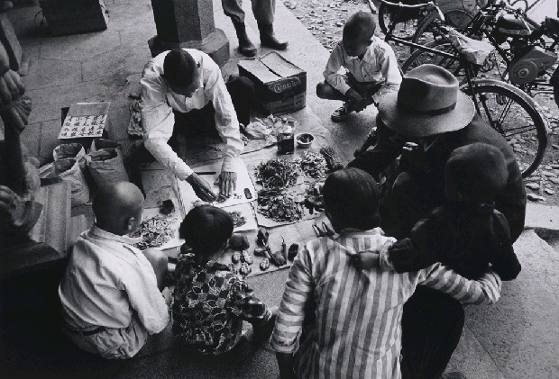 藏品:草藥郎中的(1)張圖片