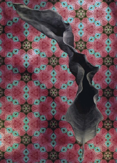 藏品:植物誌之四的(1)張圖片