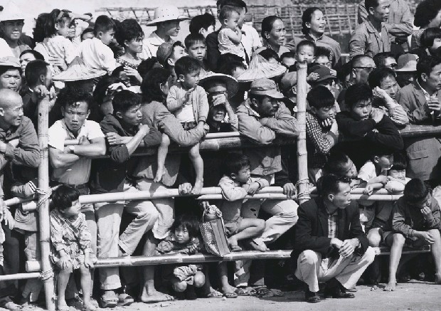 藏品:觀眾的(1)張圖片