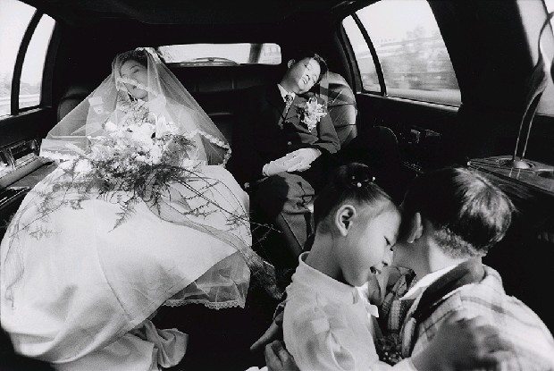 藏品:作品1的(1)張圖片