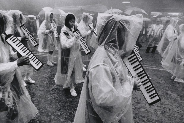 藏品:作品7的(1)張圖片