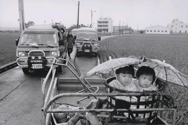 藏品:作品9的(1)張圖片