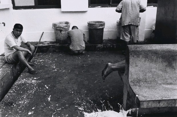 藏品:玉里精神病養護所的(1)張圖片