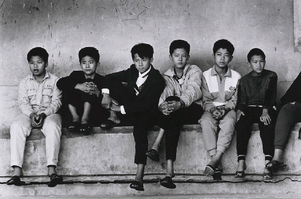 藏品:新港春風少年兄的(1)張圖片