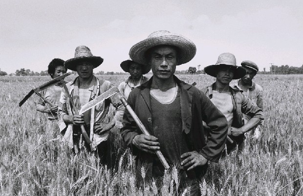 藏品:歷史勞動之旅的(1)張圖片