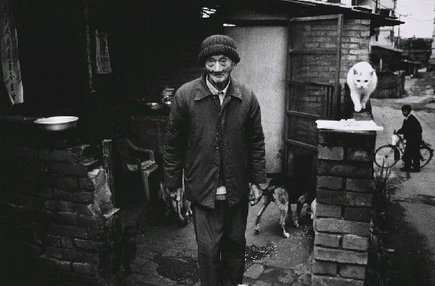 藏品:麻瘋村紀事2的(1)張圖片