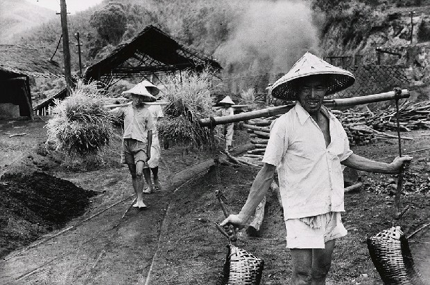 藏品:九份山上的(1)張圖片