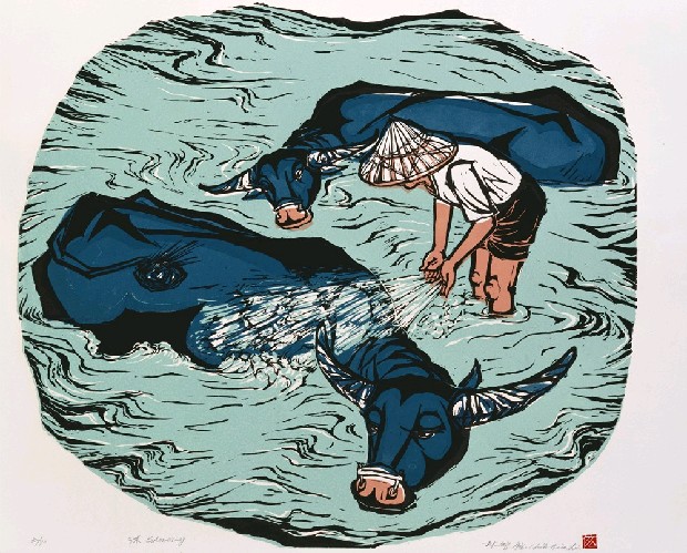 藏品:沐的(1)張圖片