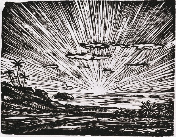 藏品:日出的(1)張圖片