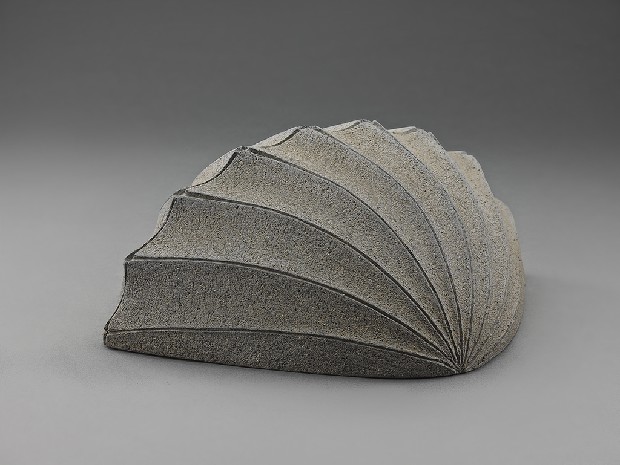 藏品:海貝的(1)張圖片