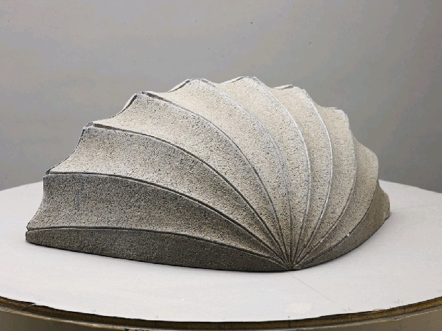 藏品:海貝的(2)張圖片