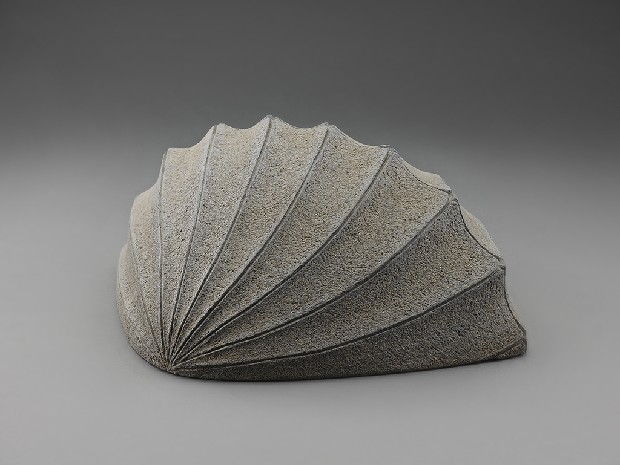 藏品:海貝的(3)張圖片