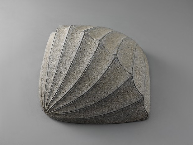 藏品:海貝的(4)張圖片