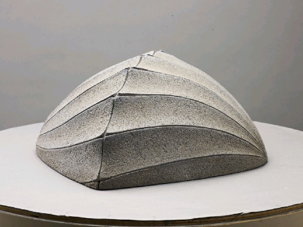 藏品:海貝的(5)張圖片