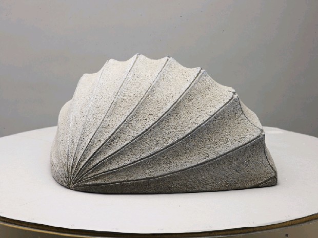 藏品:海貝的(6)張圖片