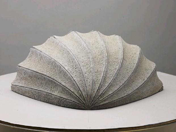 藏品:海貝的(7)張圖片