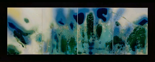 藏品:相忘江湖的(1)張圖片