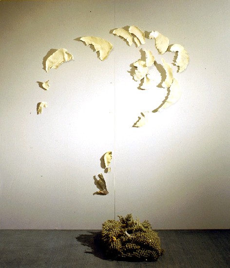 藏品:?的(1)張圖片