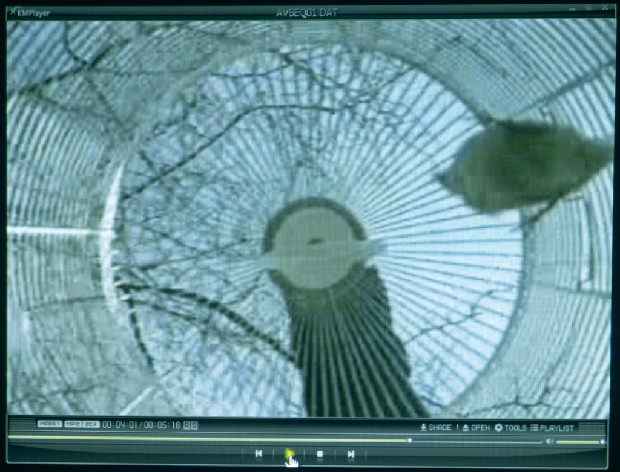 藏品:籠的(1)張圖片