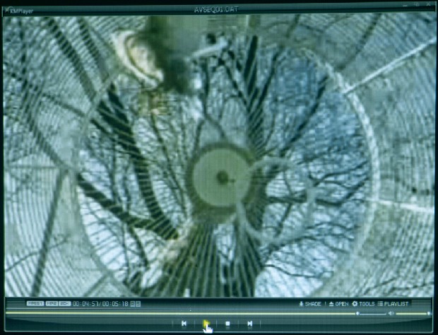 藏品:籠的(4)張圖片