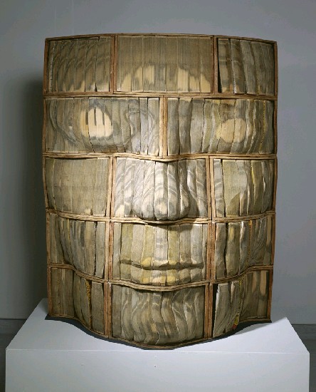 藏品:臉1的(2)張圖片