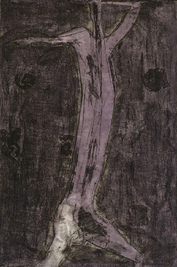 藏品:智者的(1)張圖片