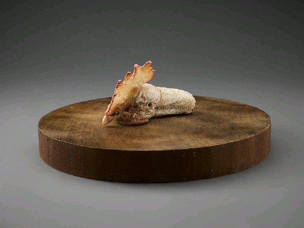 藏品:目擊者的(4)張圖片