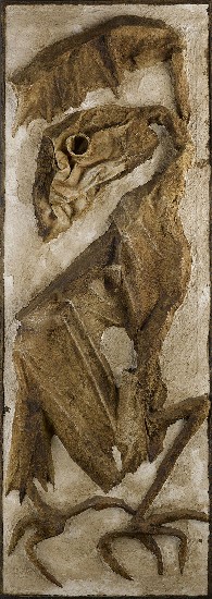 藏品:天.地.海.人的(2)張圖片