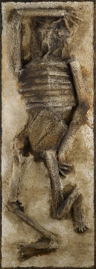 藏品:天.地.海.人的(5)張圖片