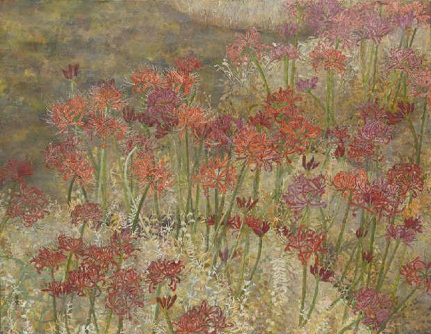 藏品:曼殊沙華的(1)張圖片