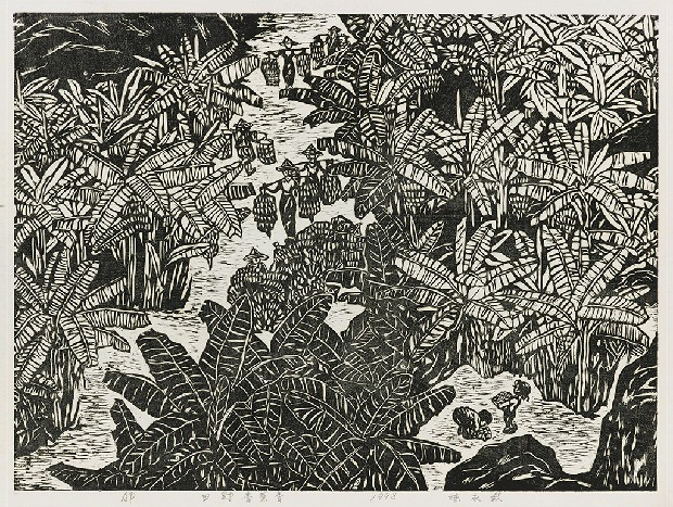 田野香蕉香的焦點圖