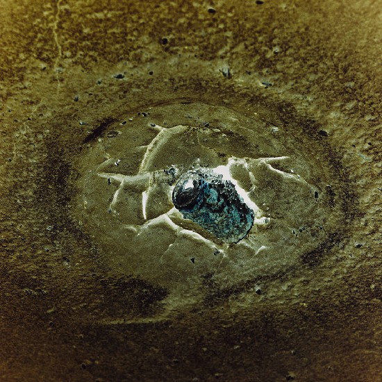 藏品:蝕的(1)張圖片