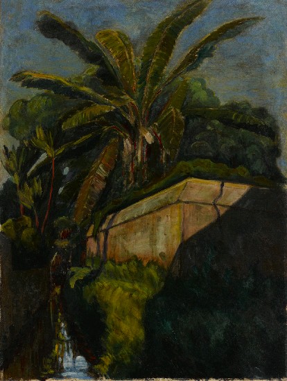 藏品:芭蕉人家的(1)張圖片