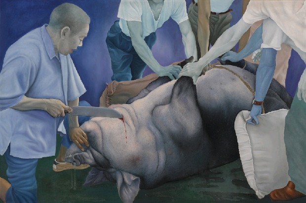 藏品:合理的虐殺的(1)張圖片