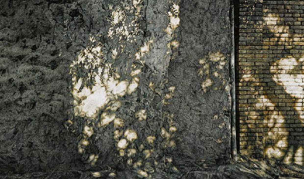 藏品:9706的(1)張圖片