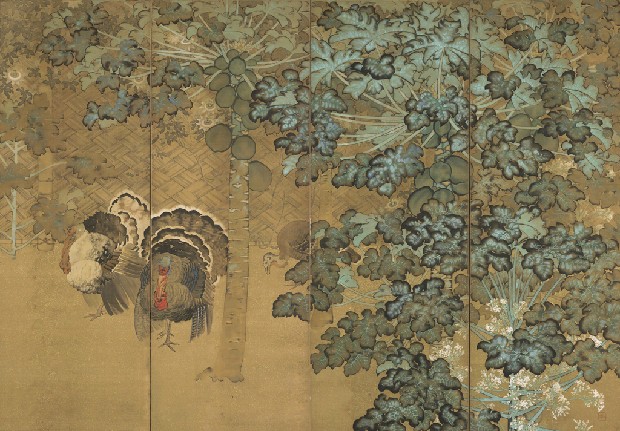 藏品:庭院的(1)張圖片