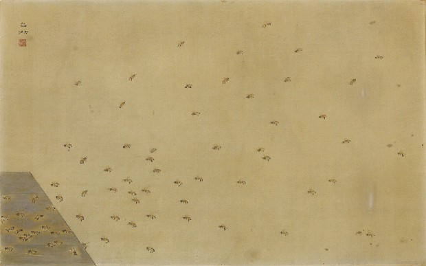 藏品:蜜蜂的(1)張圖片