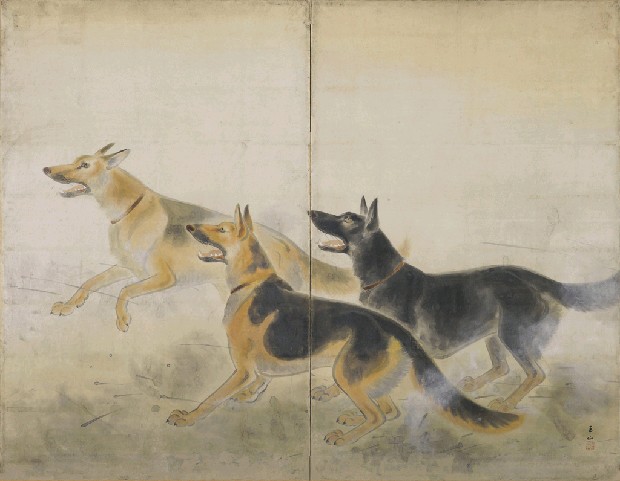 藏品:襲擊的(1)張圖片