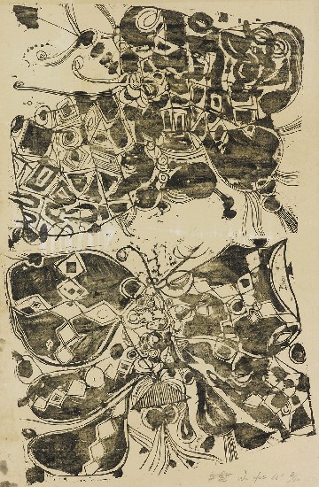 藏品:蝴蝶的(1)張圖片