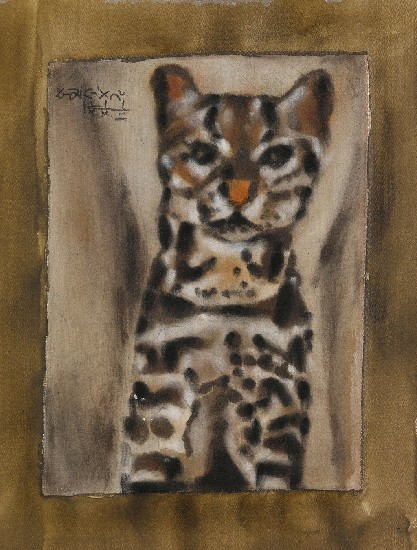 藏品:豹貓的(1)張圖片