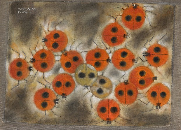 藏品:瓢蟲的婚禮的(1)張圖片