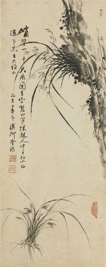 藏品:蘭石的(1)張圖片