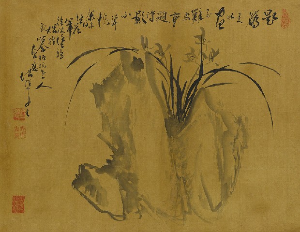 藏品:蘭石的(1)張圖片