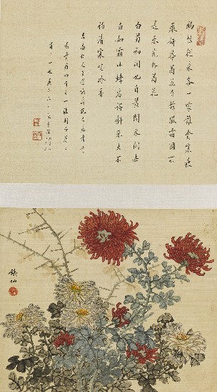 藏品:菊花的(1)張圖片