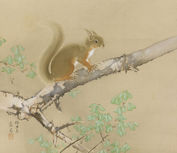 藏品:粟鼠的(1)張圖片