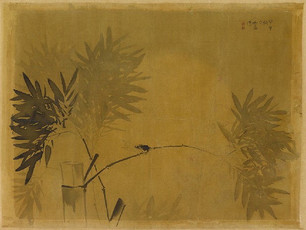 藏品:蟬竹的(1)張圖片