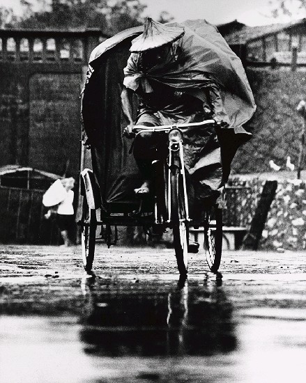 藏品:颱風那一天的(1)張圖片