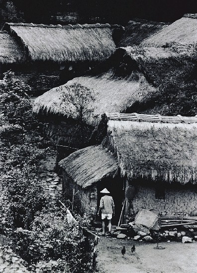 藏品:茅舍的(1)張圖片