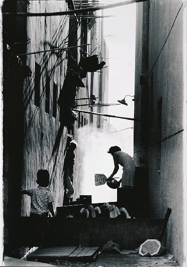 藏品:陋巷的(1)張圖片