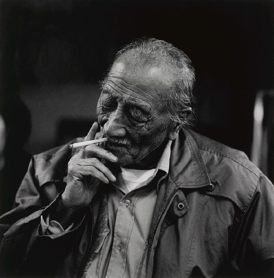 藏品:大師像的(1)張圖片